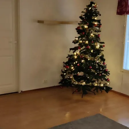 Joutti * Rovaniemi
